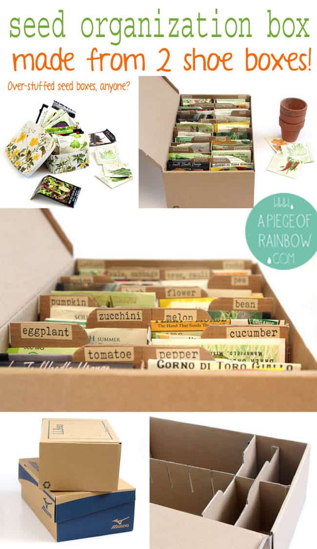 Make a Seed Box From Upcycled Shoe Boxes  Seed box, Seed storage, Seed box  storage