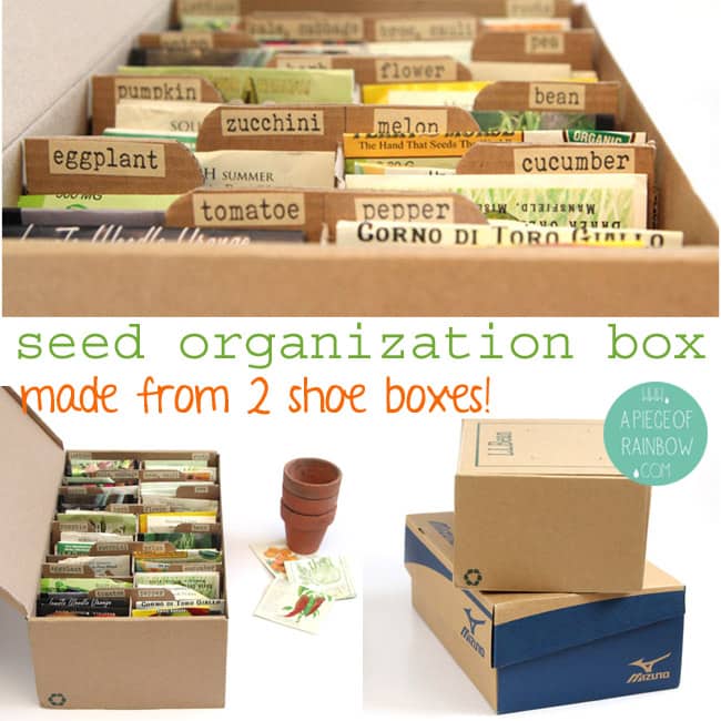 Make a Seed Box From Upcycled Shoe Boxes  Seed box, Seed storage, Seed box  storage