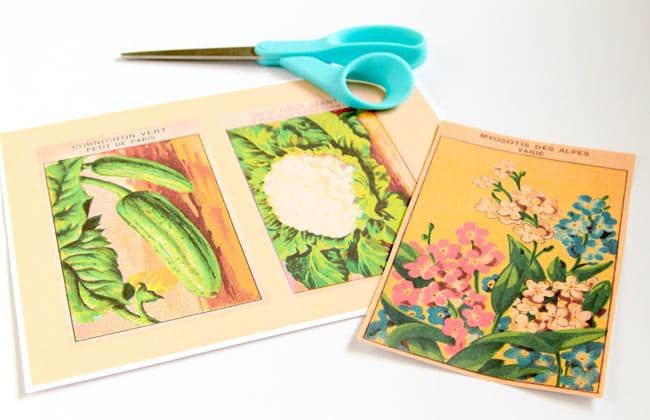 Printable Vintage Inspired Seed Packets - Creative DIY Purpose