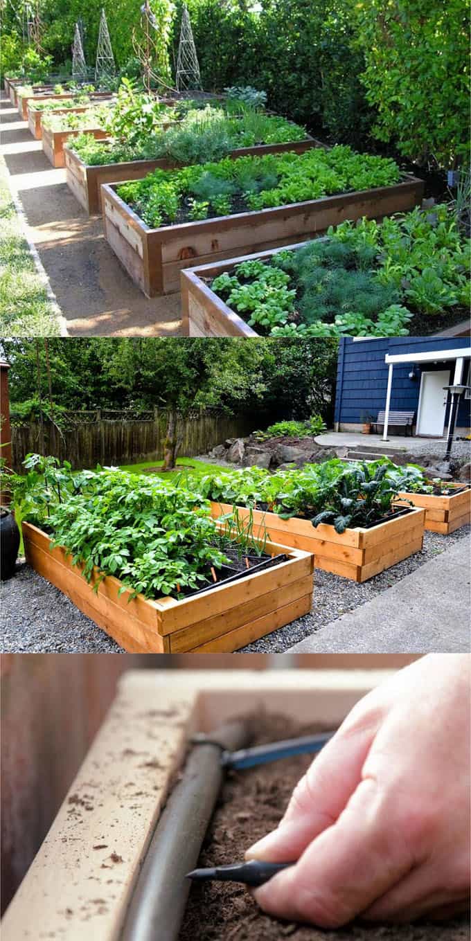 All About DIY Raised Bed Gardens - Part 14 - A Piece Of Rainbow