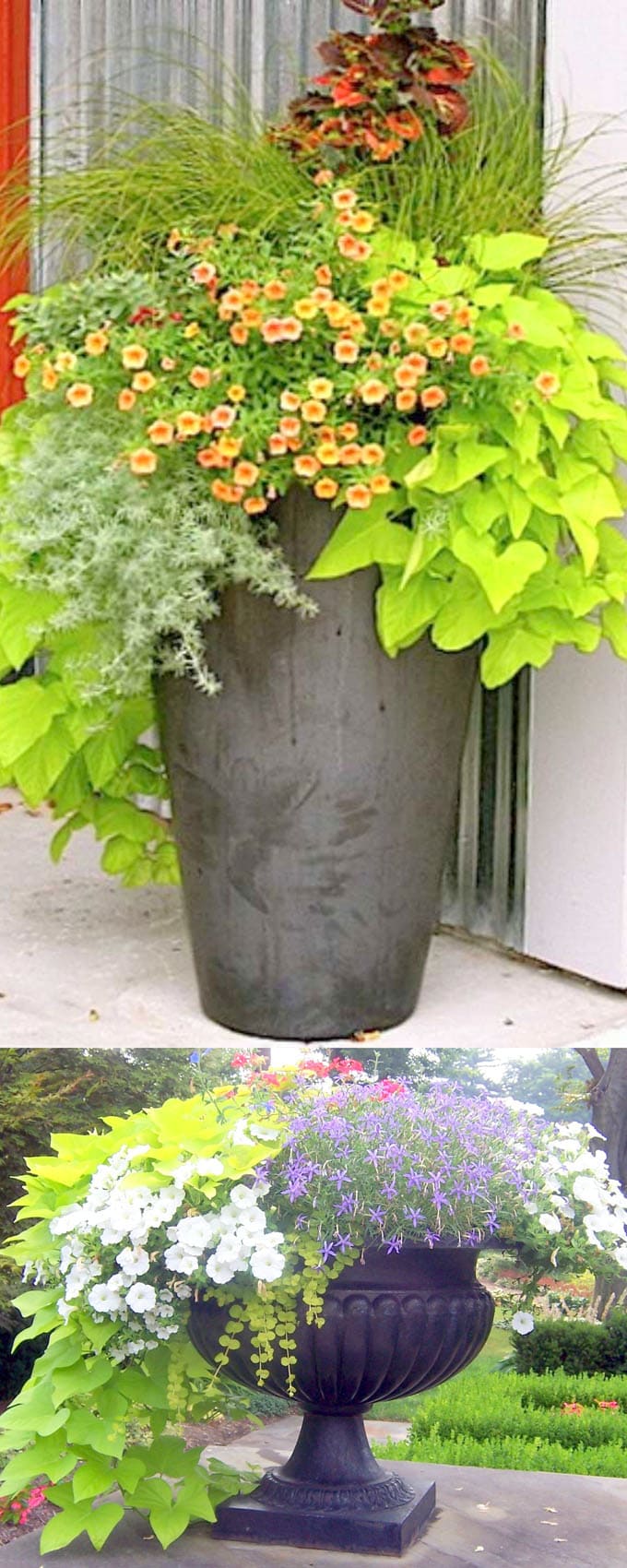 Colorful Flower Gardening in Pots ( 38 Designer Plant Lists for Each