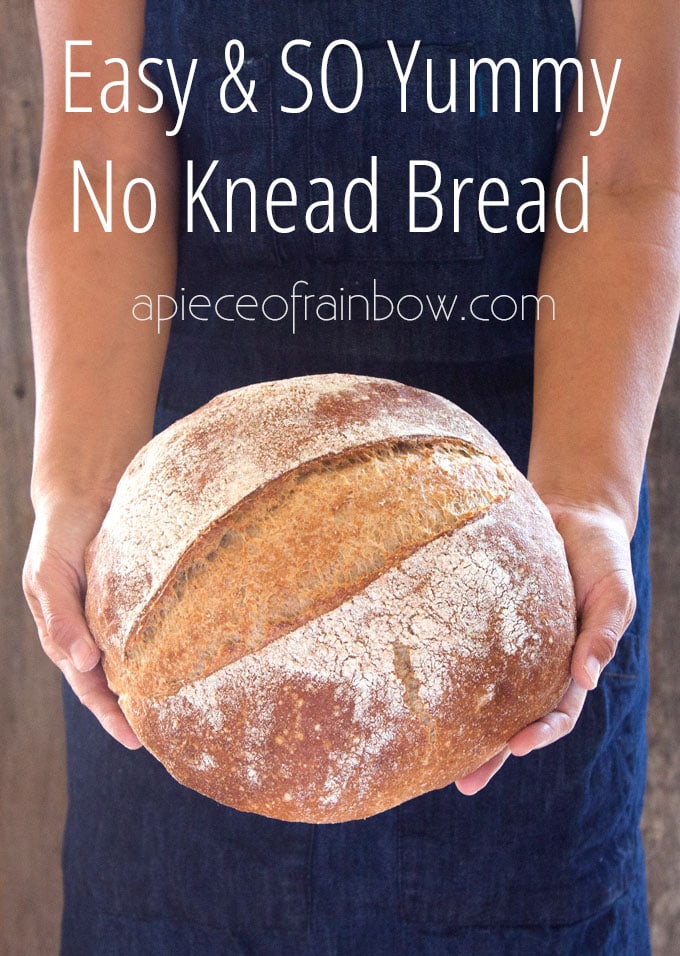 Harry's Whole Grain No Knead Dutch Oven Bread Recipe 