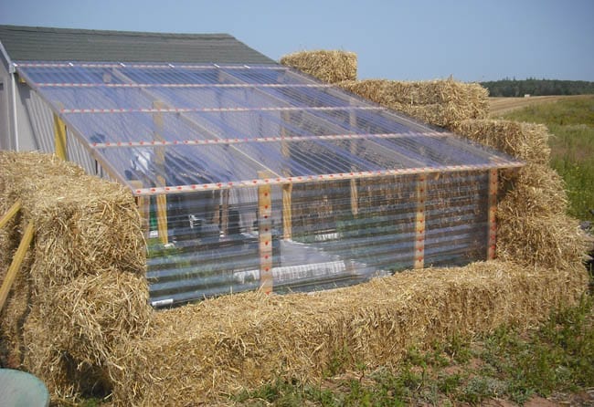 DIY Greenhouses apieceofrainbowblog 1
