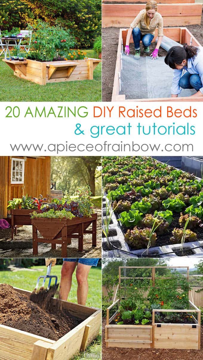 all-about-raised-bed-garden-apieceofrainbow 1
