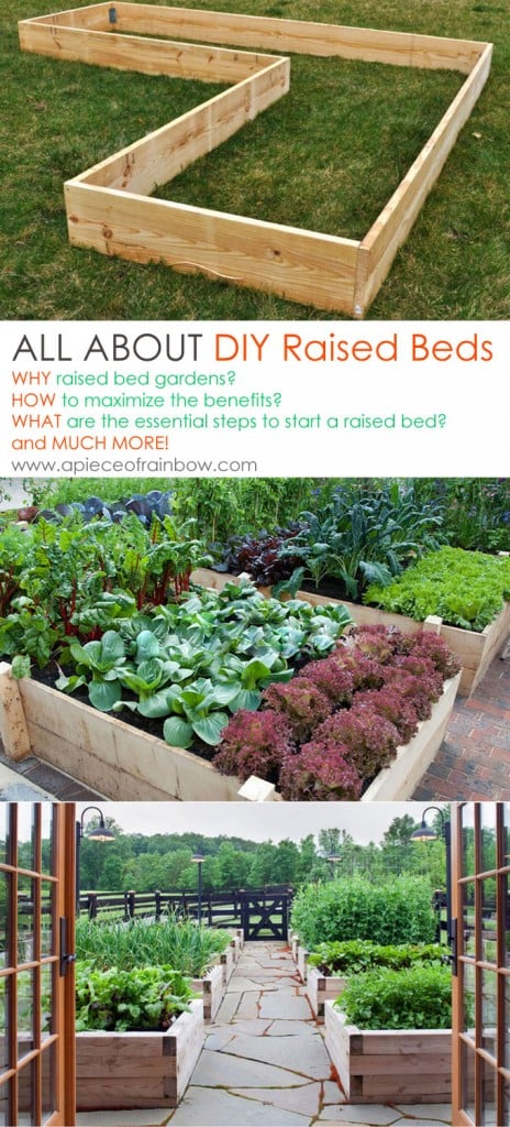 All About DIY Raised Bed Gardens - Part 1 - A Piece Of Rainbow