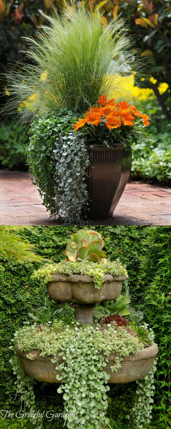 24 Stunning Container  Garden Planting  Designs  A Piece Of 