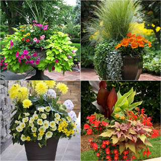 design outdoor flower containers