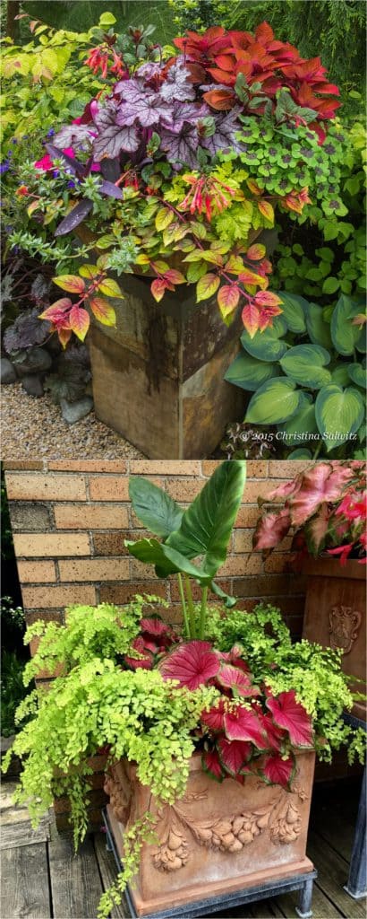 16 Colorful Shade Garden Pots and Plant Lists - A Piece Of Rainbow
