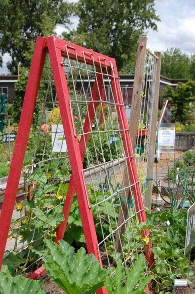 24 einfache DIY-Gartenspalier-Ideen und beste Pflanzenstruktur-Designs ...