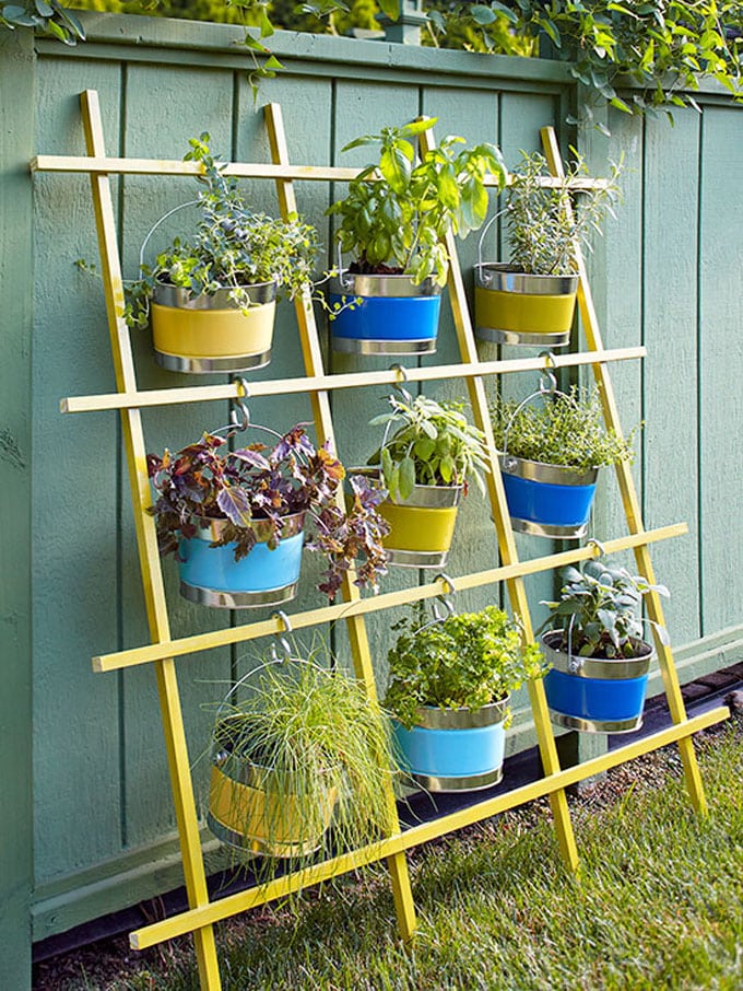How to Make an Easy DIY Trellis for Potted Plants - Hilltop in the