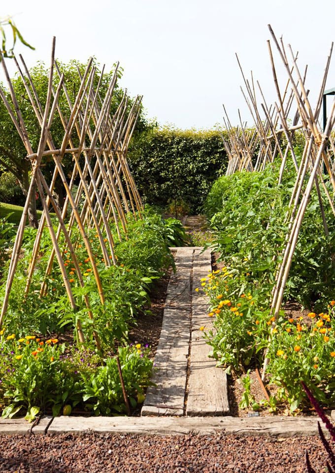 24 Easy Diy Garden Trellis Ideas Plant Structures A Piece Of Rainbow