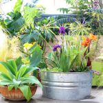 An old galvanized tub transformed into a beautiful outdoor solar fountain with pond and water plants in 1 hour using a solar pump! Detailed tutorial and lots of helpful tips!