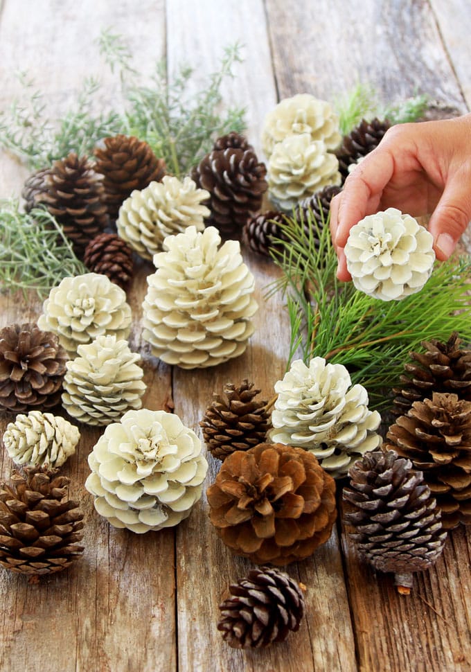 10 Pieces Christmas Natural Pine-cones For Crafts Assortment