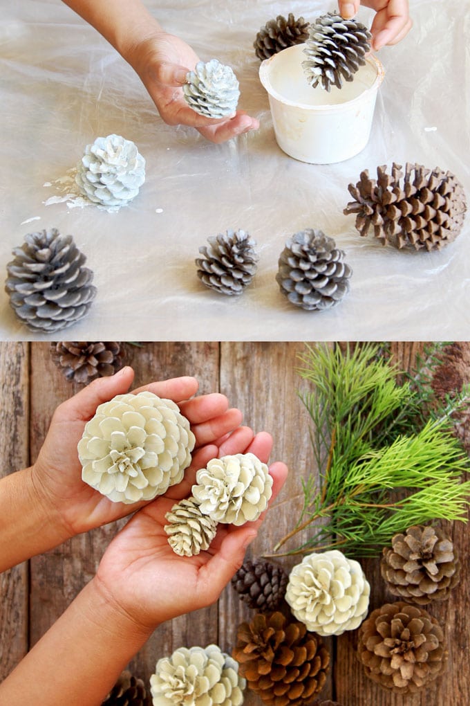 Easiest 5 Minute Bleached Pinecones {without Bleach} - A Piece Of Rainbow