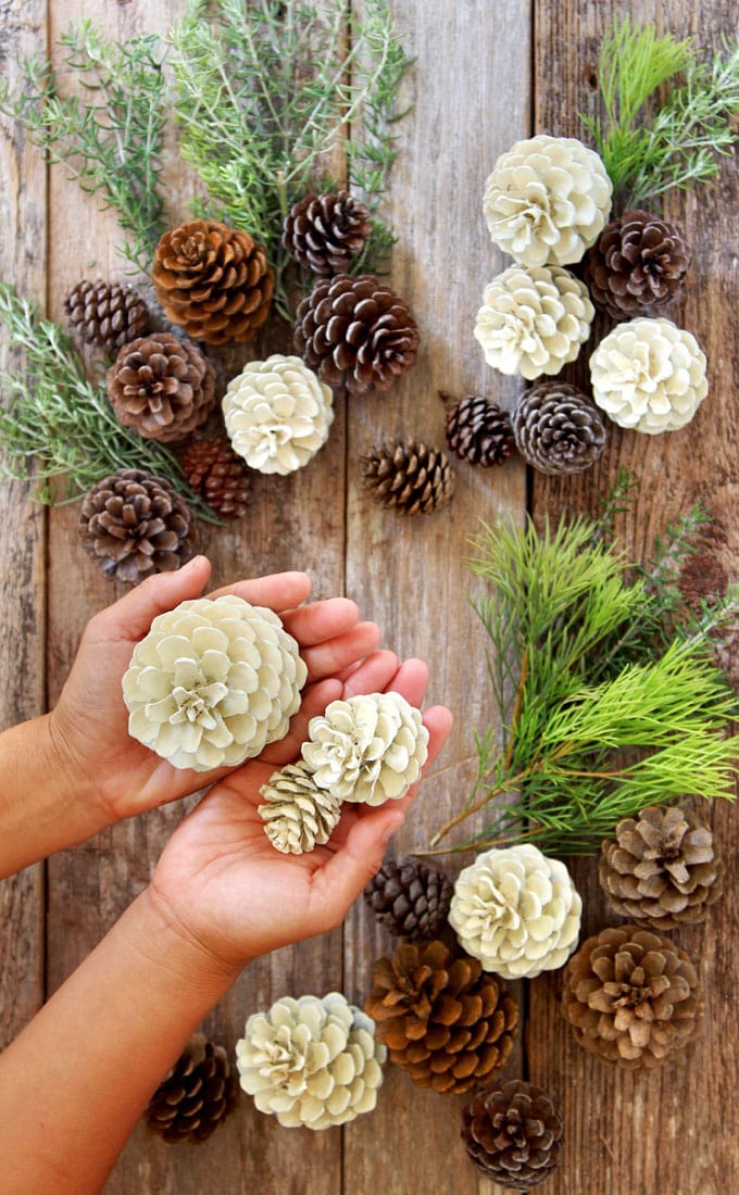 Easiest 5 Minute Bleached Pinecones {without Bleach} - A Piece Of Rainbow