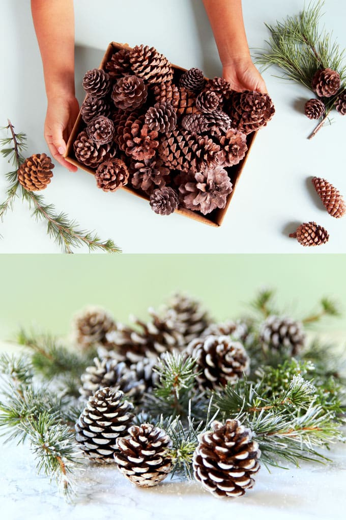 3-Minute DIY Snow Covered Pine Cones & Branches {3 Ways!} - A