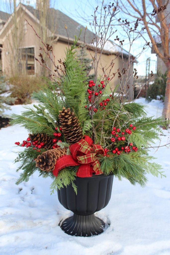 24 Colorful Outdoor Planters for Winter &Christmas Decorations  A