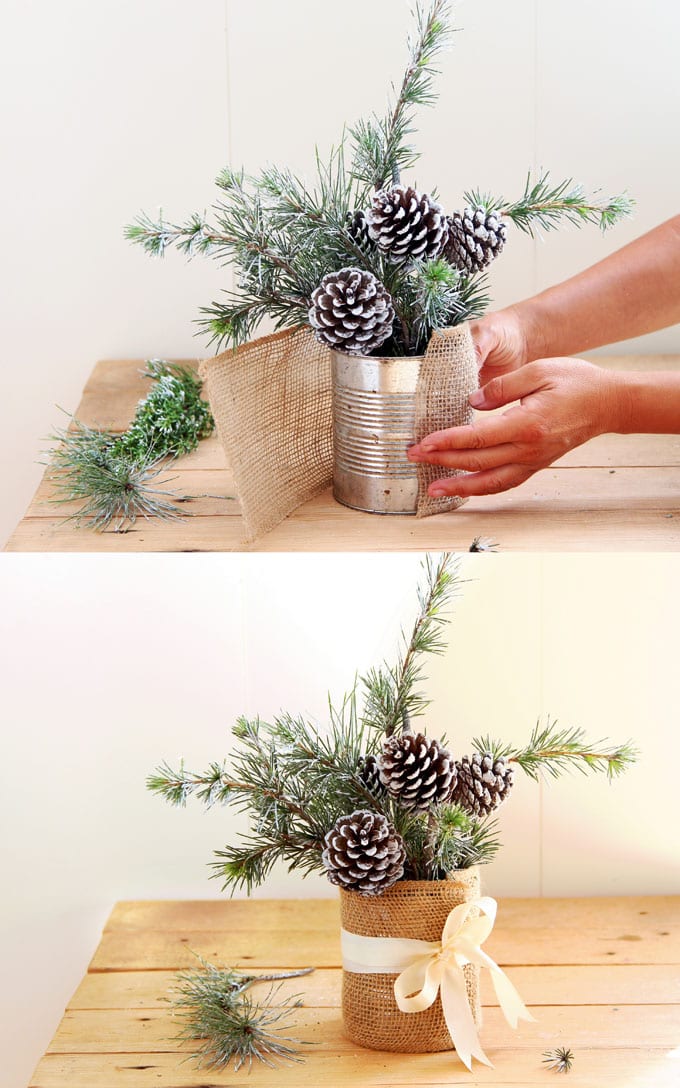 DIY Winter Tree Cones - A Grande Life