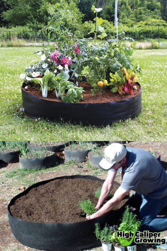 How to Build a Beautiful Raised Garden Bed in 5 Easy Steps