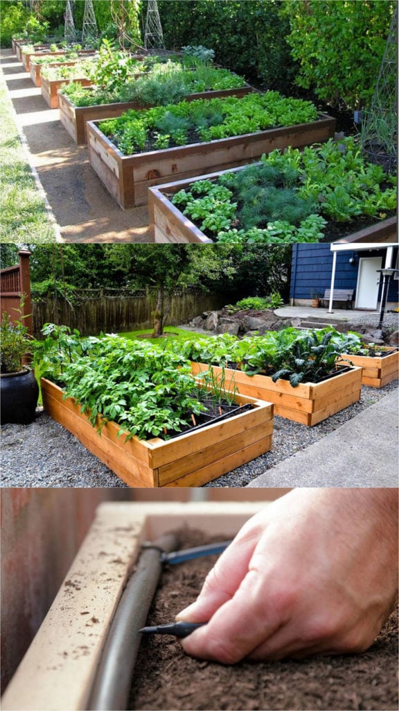 Bauen Sie Hochbeete oder Pflanzkübel für Gemüse- und Blumengärten aus Holz