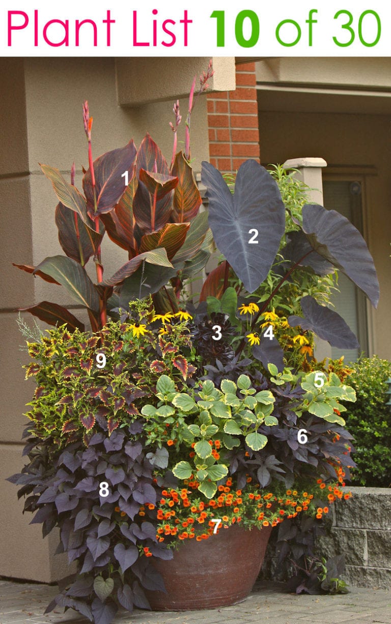 Colorful Mixed Pots Flower Gardening with 30+ Plant Lists! - A Piece Of ...