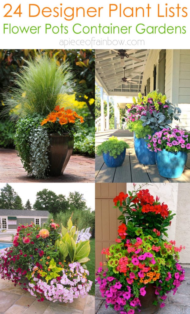 outdoor flower pots arrangements