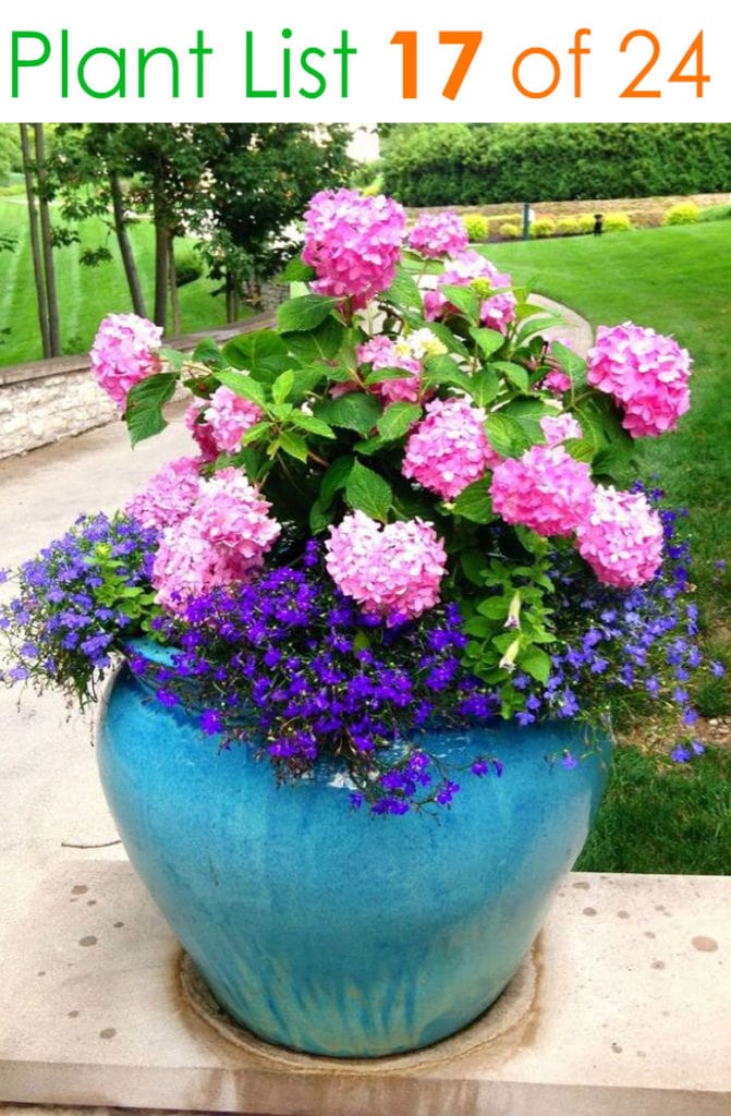 flower designs on pots