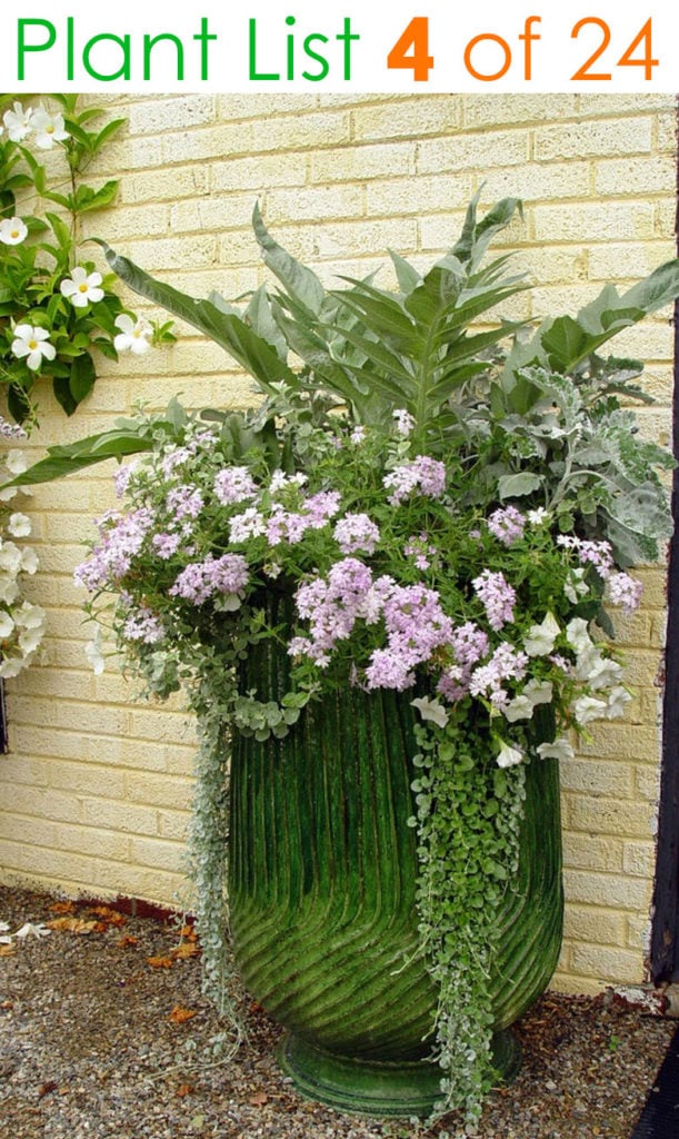 https://www.apieceofrainbow.com/wp-content/uploads/2019/06/container-garden-plants-planter-pot-ideas-flower-gardening-plant-list-combination-landscape-design-patio-pots-apieceofrainbow-5-611x1024.jpg