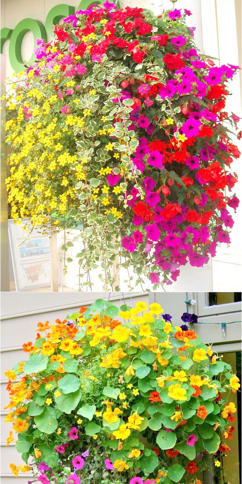 beautiful hanging baskets with yellow and pink flowers