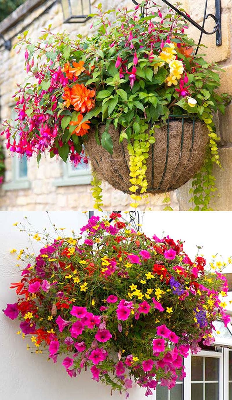 wall basket with flowers