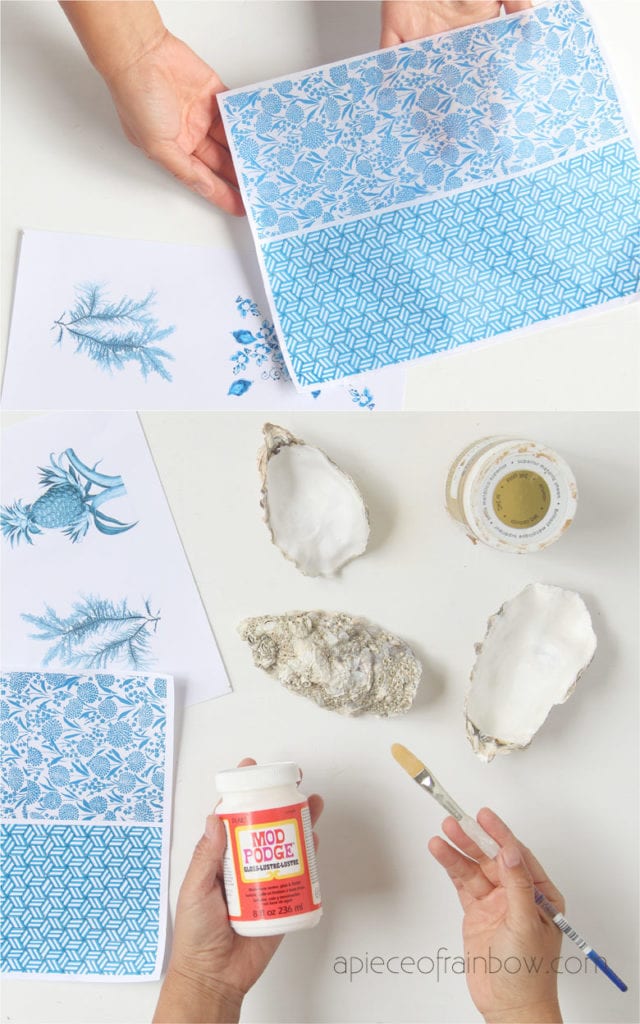 Oyster Shell Decor: How To Make DIY Trinket Dishes - The Kingston Home