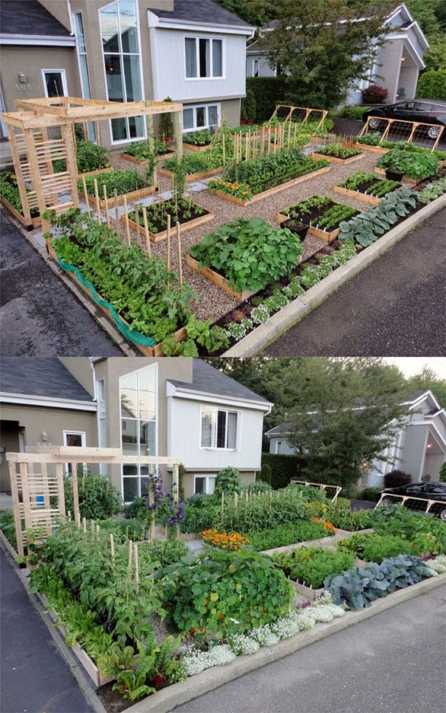 in ground vegetable garden layout