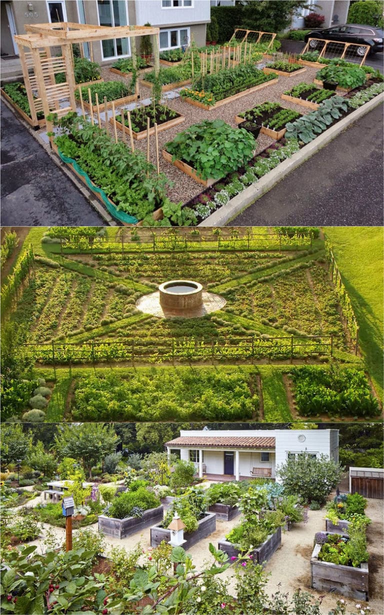 vegetable garden planns