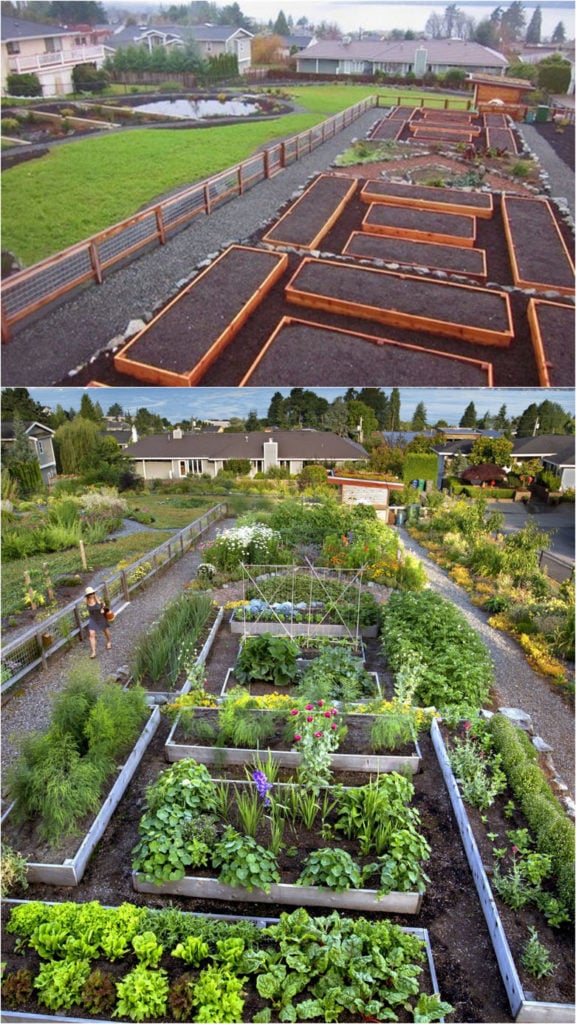 Vegetable Garden Layout Ideas Kitchen Gardens Backyard Designs Plans Soil Raised Beds Planting Square Foot Edible Gardening Spacing Planning Homestead Apieceofrainbow 3 576x1024 