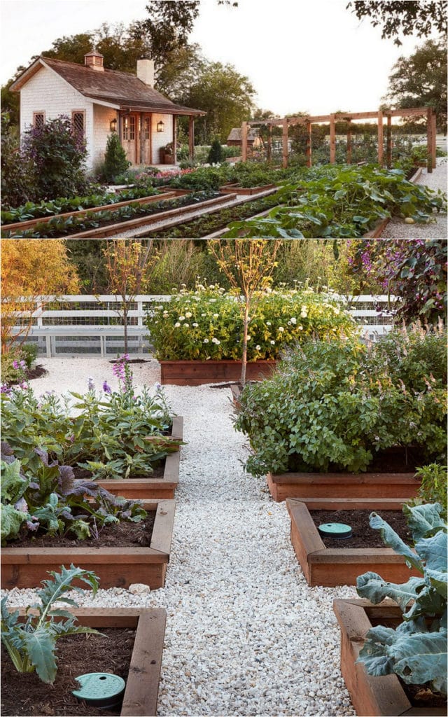 4 Vegetable Garden Layout Designs to Consider