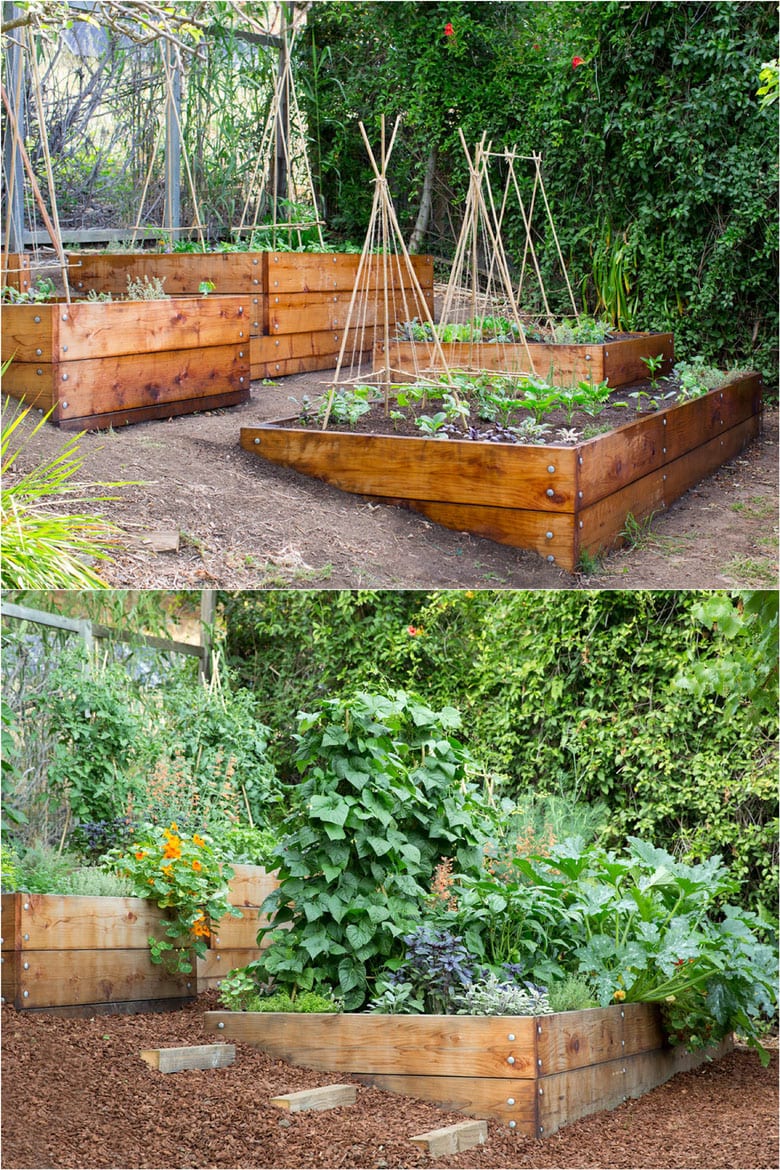 small vegetable garden layout examples