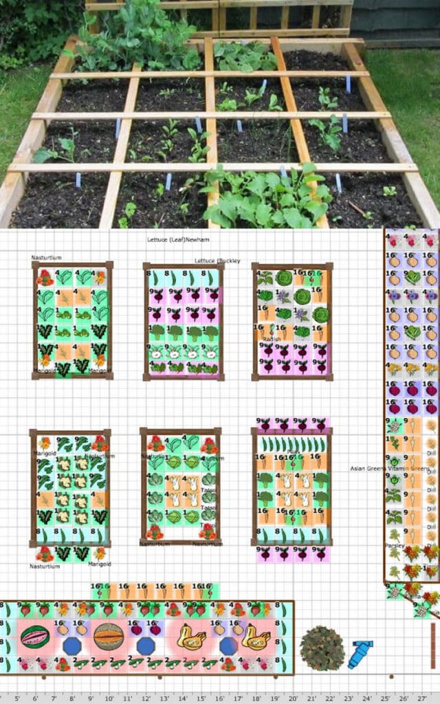 Square Foot Gardening Printable Companion Planting Chart - Garden