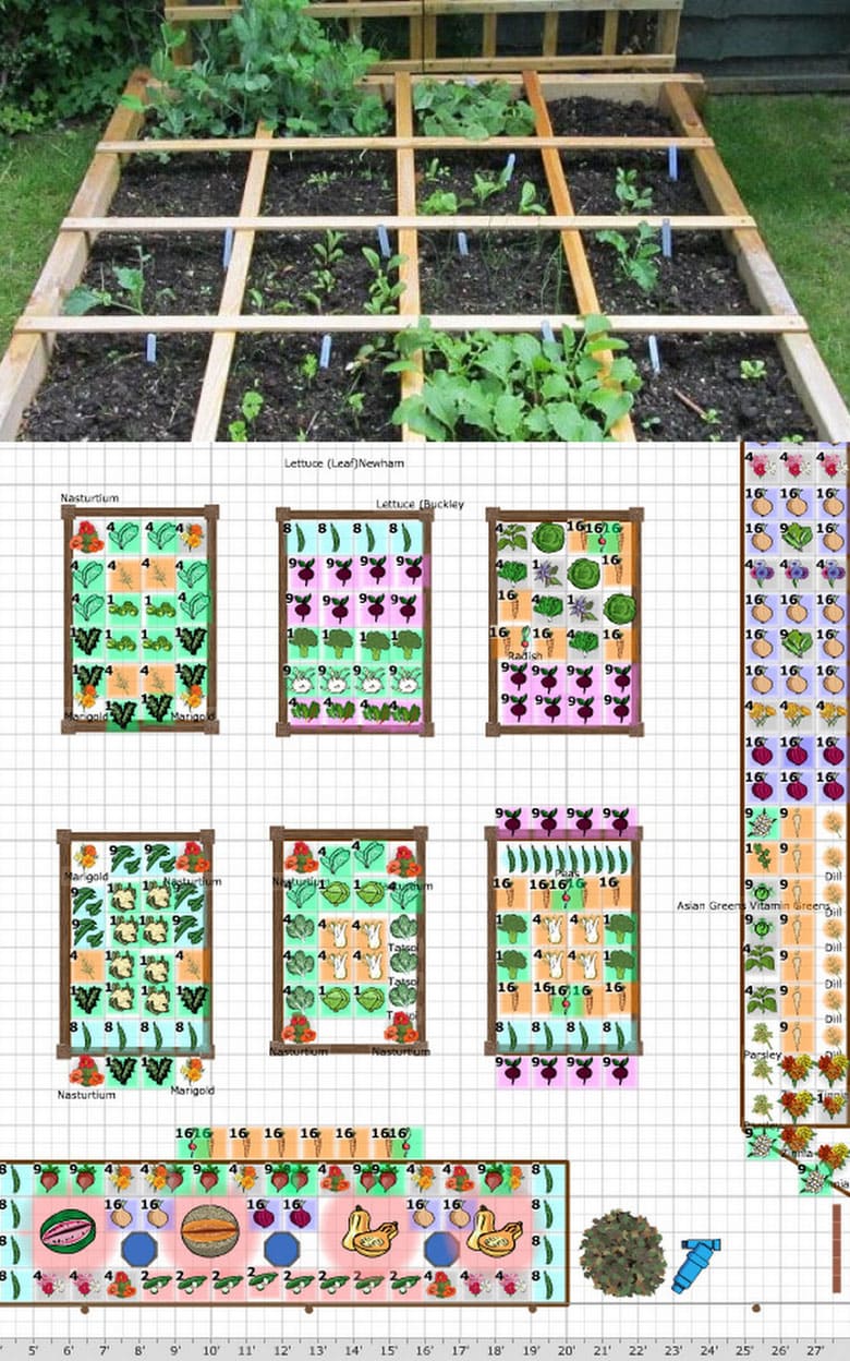 vegetable garden spacing planner