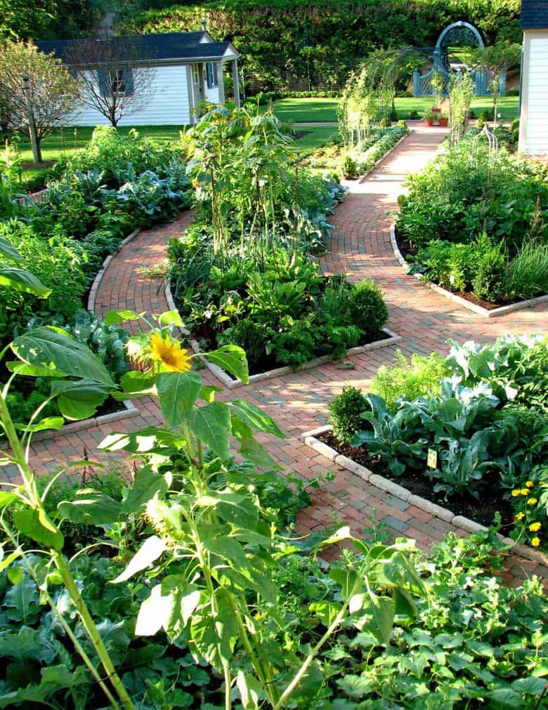 summer vegetable garden layout