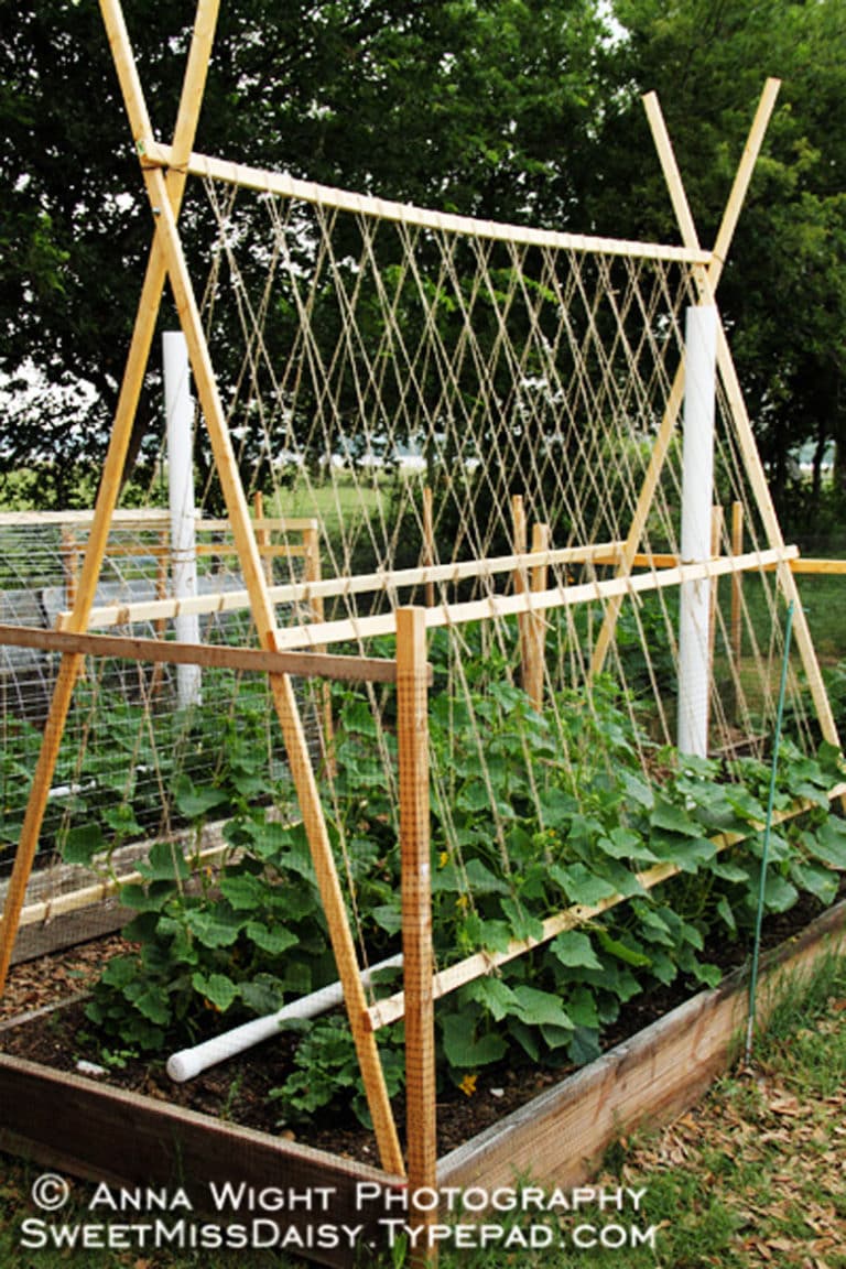 Easy Diy Garden Trellis Ideas Plant Structures A Piece Of Rainbow | My ...