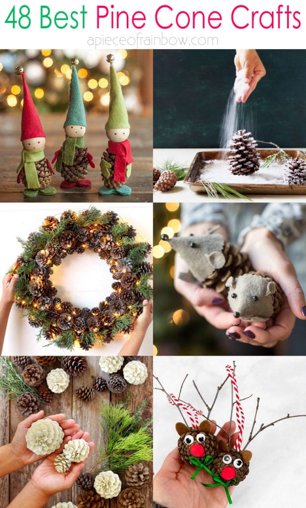 Pine Cone Crafts for Kids