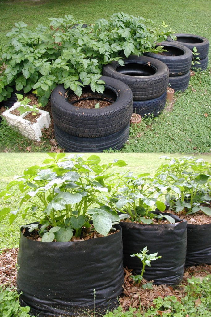 https://www.apieceofrainbow.com/wp-content/uploads/2021/02/how-to-grow-potatoes-in-containers-bag-pots-gallon-buckets-DIY-wood-planters-straw-tower-tire-best-gardening-ideas-plant-vegetables-apieceofrainbow-14-683x1024.jpg