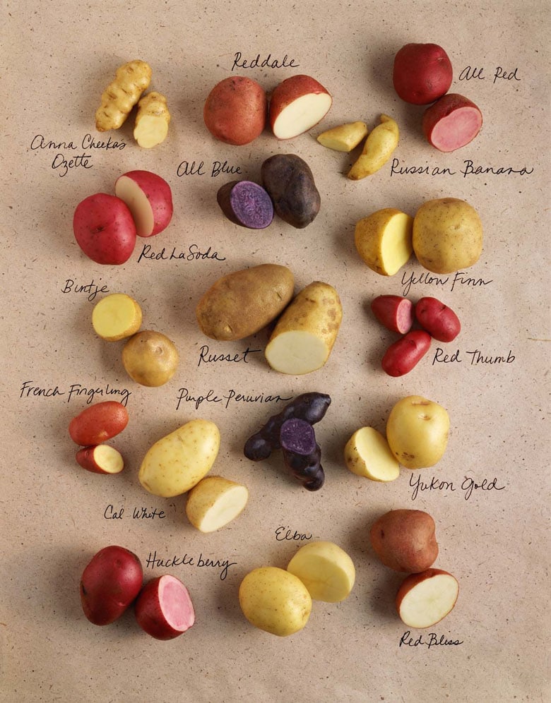 How to Grow Potatoes: 5 Steps to A Big Harvest - A Piece Of Rainbow