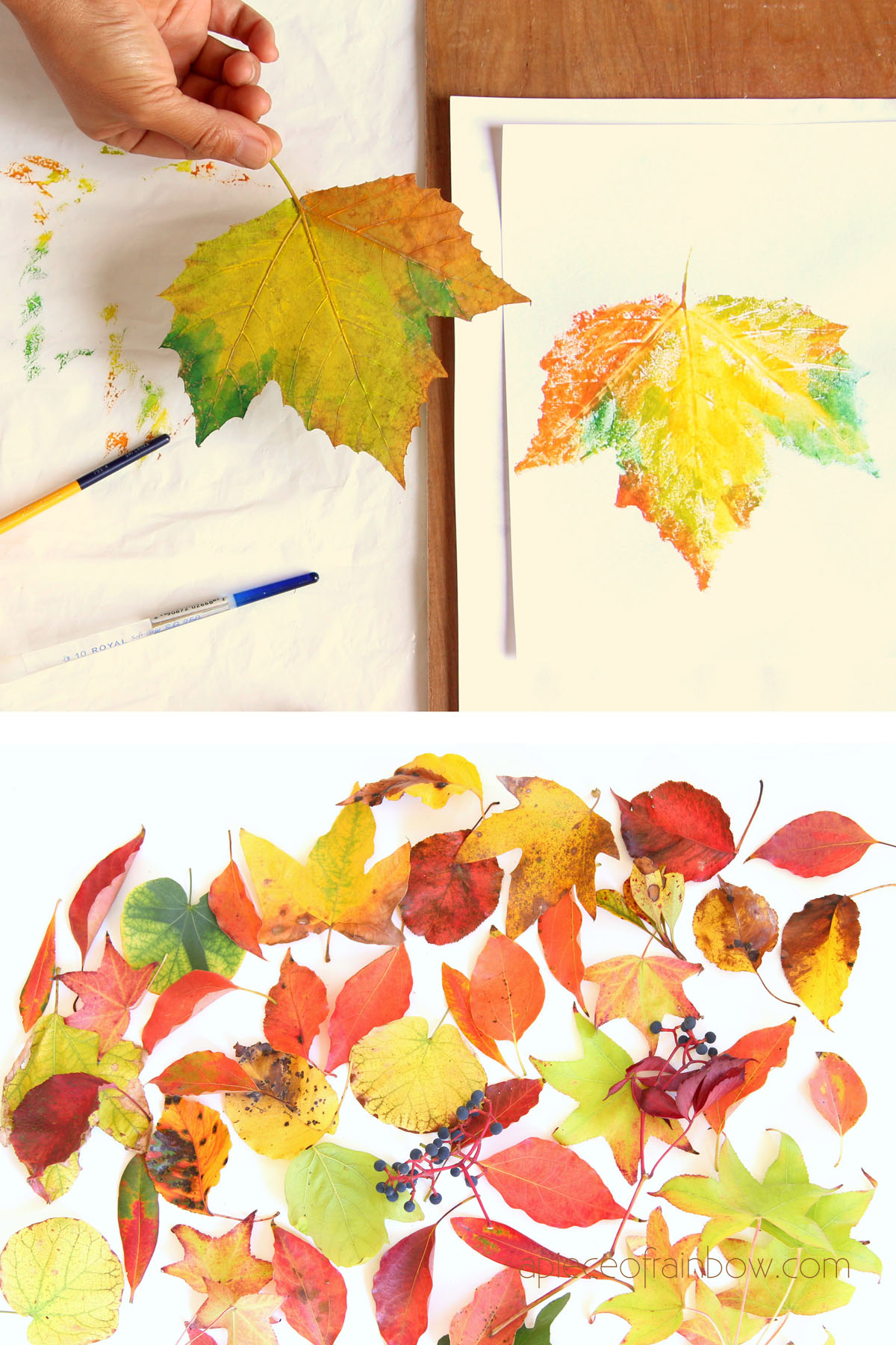 3 Easy Fall Leaf Painting Ideas For Kids - The Confused Millennial