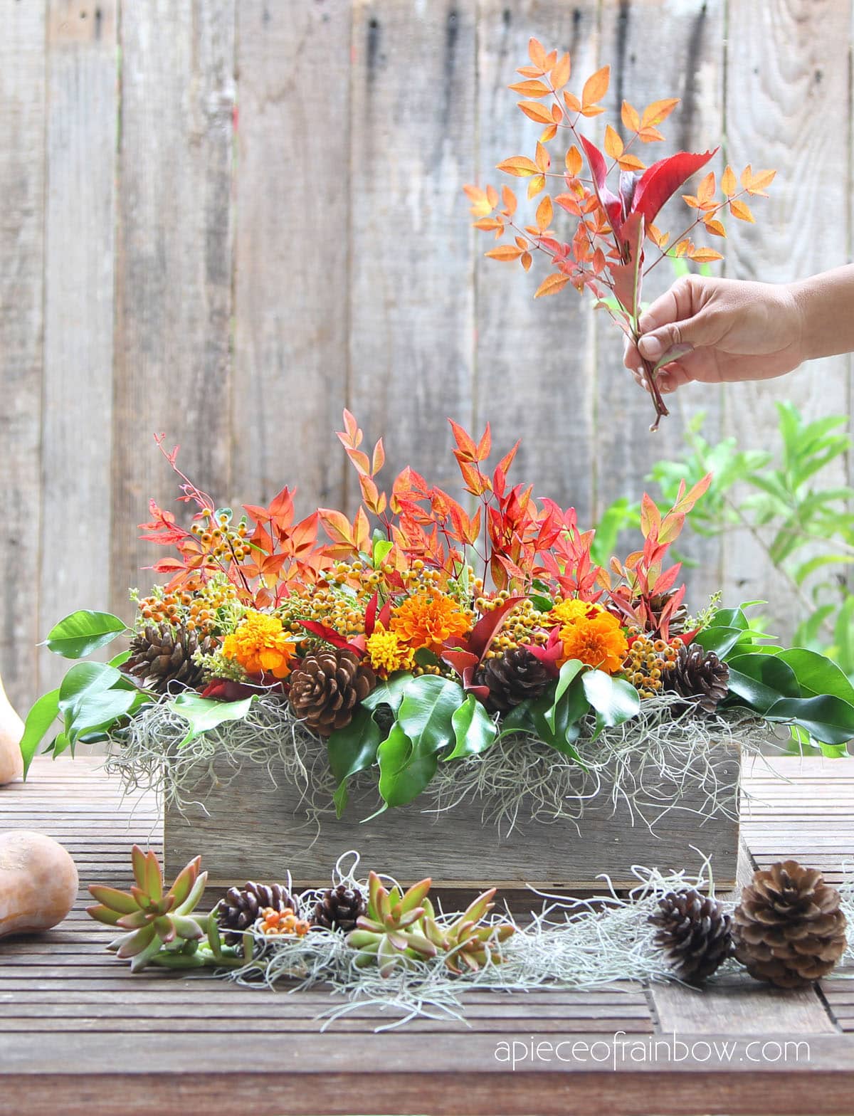 Gather Fall Foliage From Your Yard For Gorgeous Floral Arrangements
