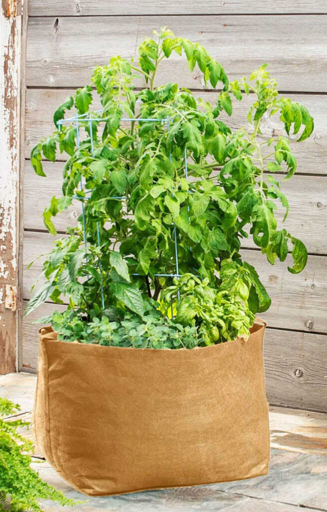 https://www.apieceofrainbow.com/wp-content/uploads/2023/02/container-vegetable-garden-ideas-backyard-gardening-grow-bag-tomatoes-peppers-herbs-vertical-planting-lettuce-cabbage-crates-apieceofrainbow-1-655x1024.jpg