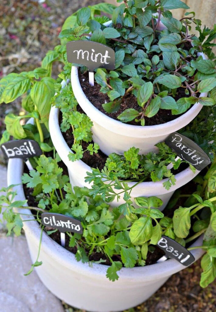 https://www.apieceofrainbow.com/wp-content/uploads/2023/02/container-vegetable-garden-ideas-backyard-gardening-grow-bag-tomatoes-peppers-herbs-vertical-planting-lettuce-cabbage-crates-apieceofrainbow-11-710x1024.jpg