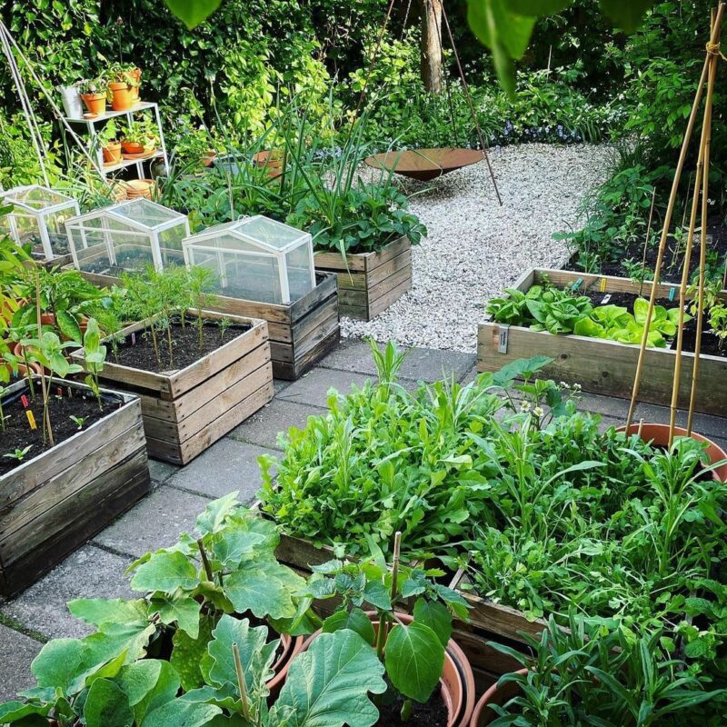 vertical vegetable garden design