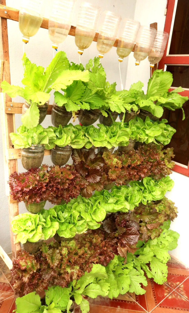 https://www.apieceofrainbow.com/wp-content/uploads/2023/02/container-vegetable-garden-ideas-backyard-gardening-grow-bag-tomatoes-peppers-herbs-vertical-planting-lettuce-cabbage-crates-apieceofrainbow-27-618x1024.jpg