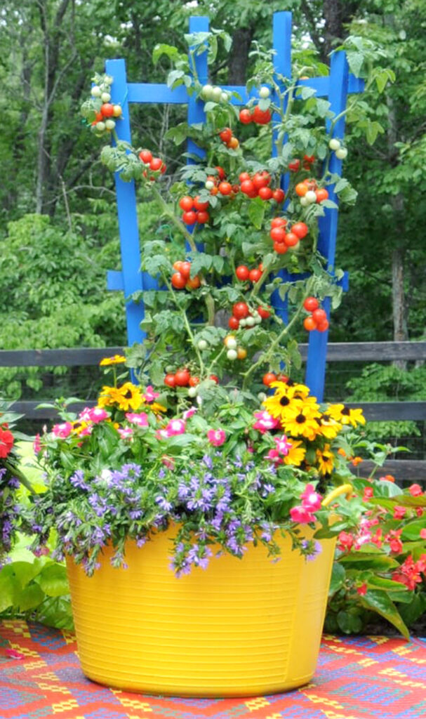 35 Creative Container Vegetable Garden Ideas - A Piece Of Rainbow